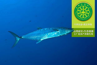 工廠化水產養(yǎng)殖專用漆的生態(tài)簡介