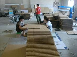 水產養(yǎng)殖 可持續(xù)發(fā)展與挑戰(zhàn)