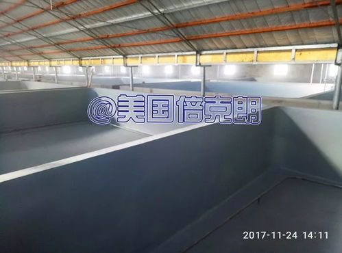 美國倍克朗攜手金盛水產共建水產養殖漆示范基地，引領行業綠色發展